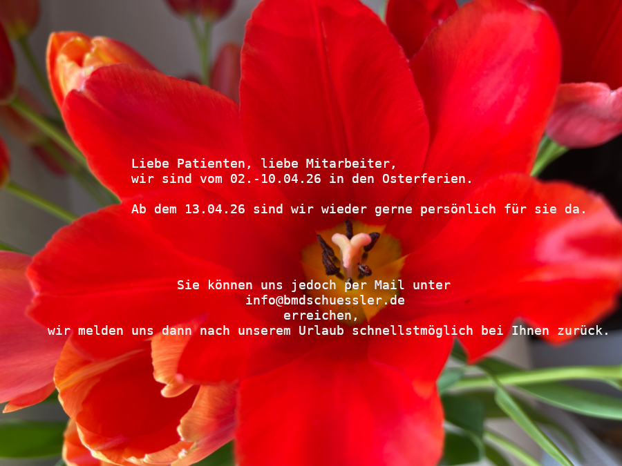 Betriebsmedizinischer Dienst Dr. Michael Schüßler